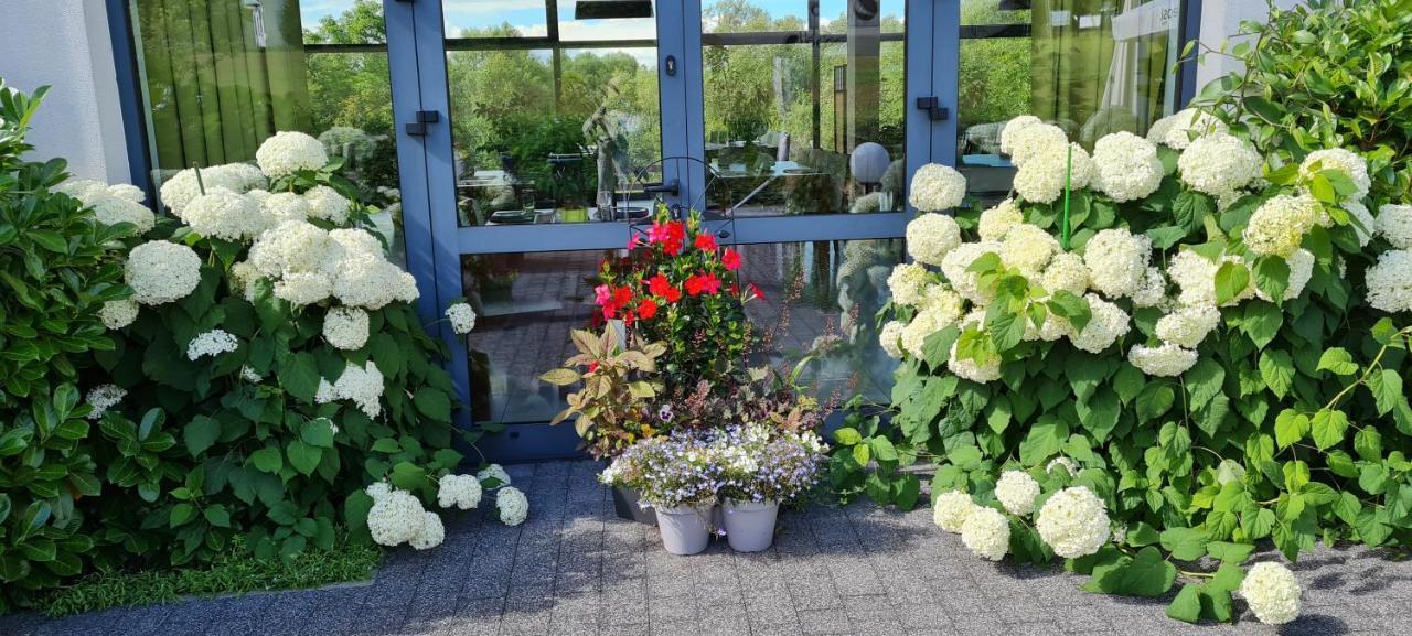 Pensjonat Lysica Wellness & Spa Swieta Katarzyna  Eksteriør billede