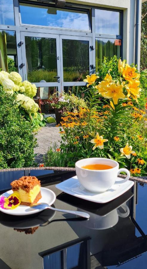 Pensjonat Lysica Wellness & Spa Swieta Katarzyna  Eksteriør billede